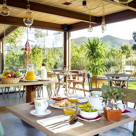 La Sassicaia Castiglione della Pescaia